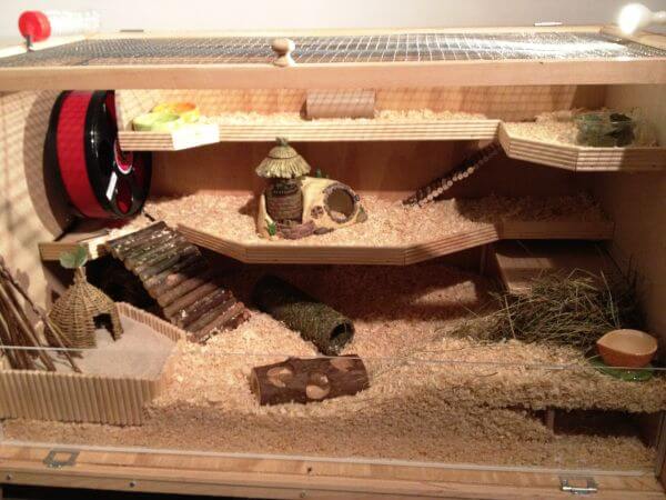 Wooden Hutches for rats
