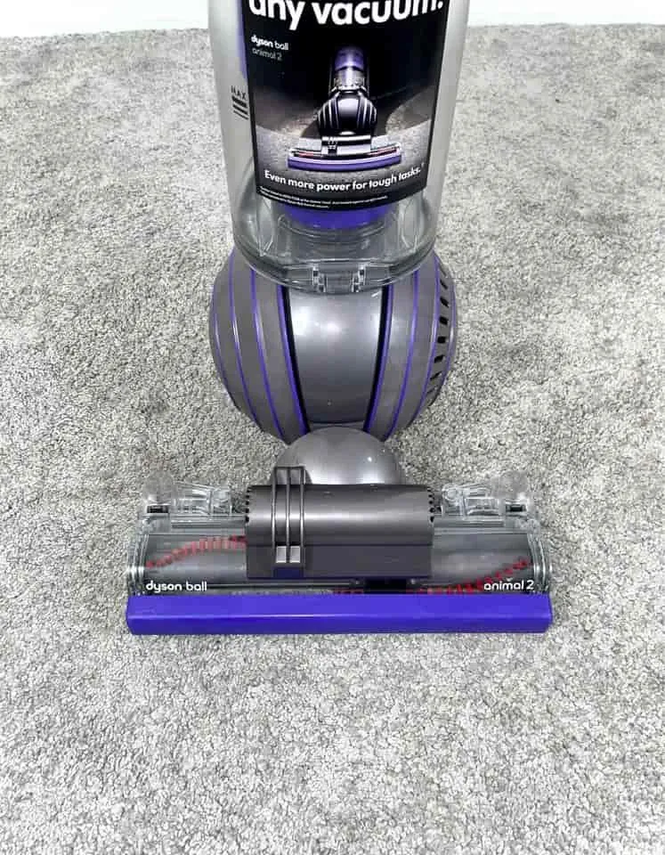Dyson Ball Animal 2 vacuum