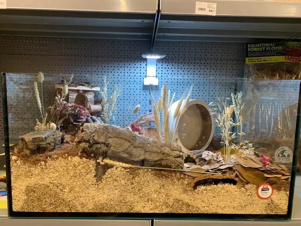 tank in store for hamster