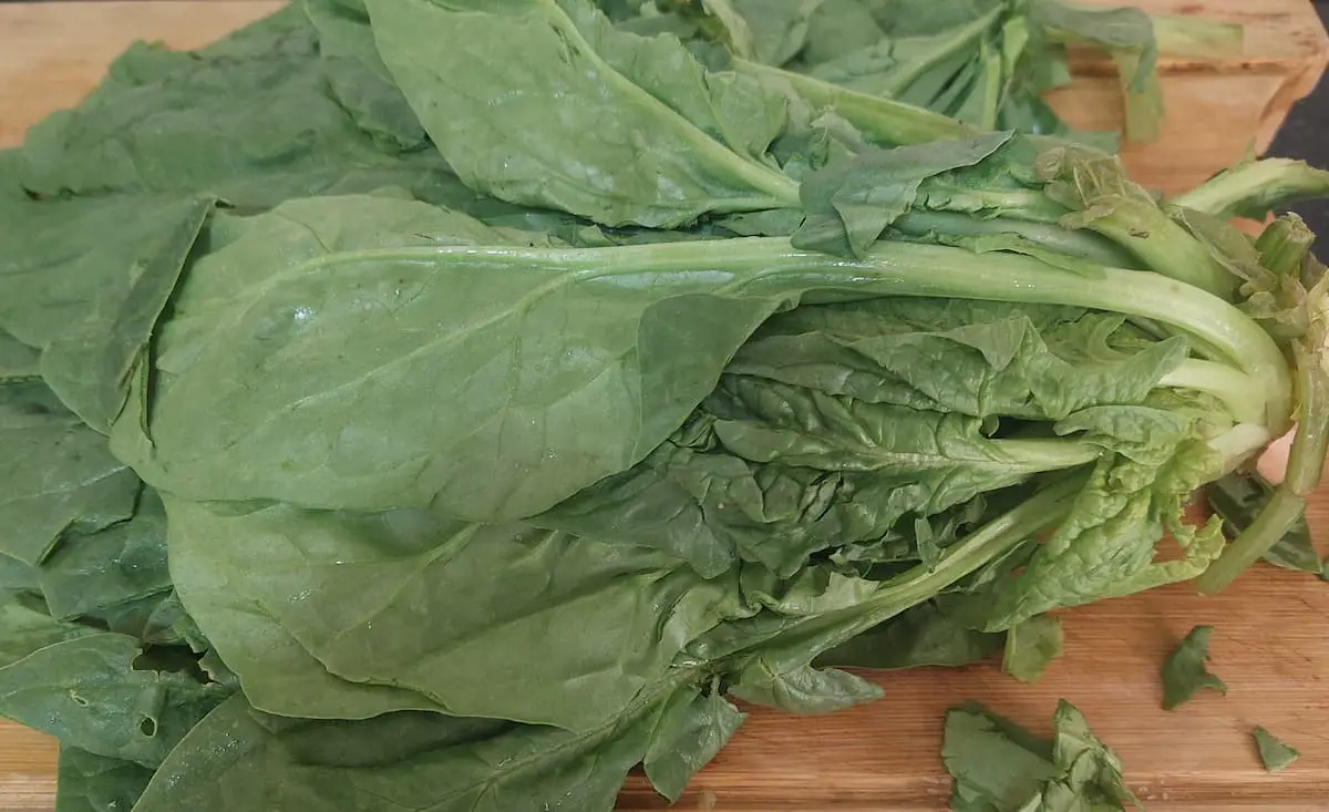 spinach on a kitchen countertop