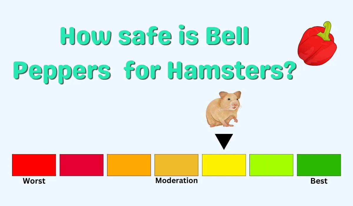 a chart of How safe is Bell Peppers for Hamsters