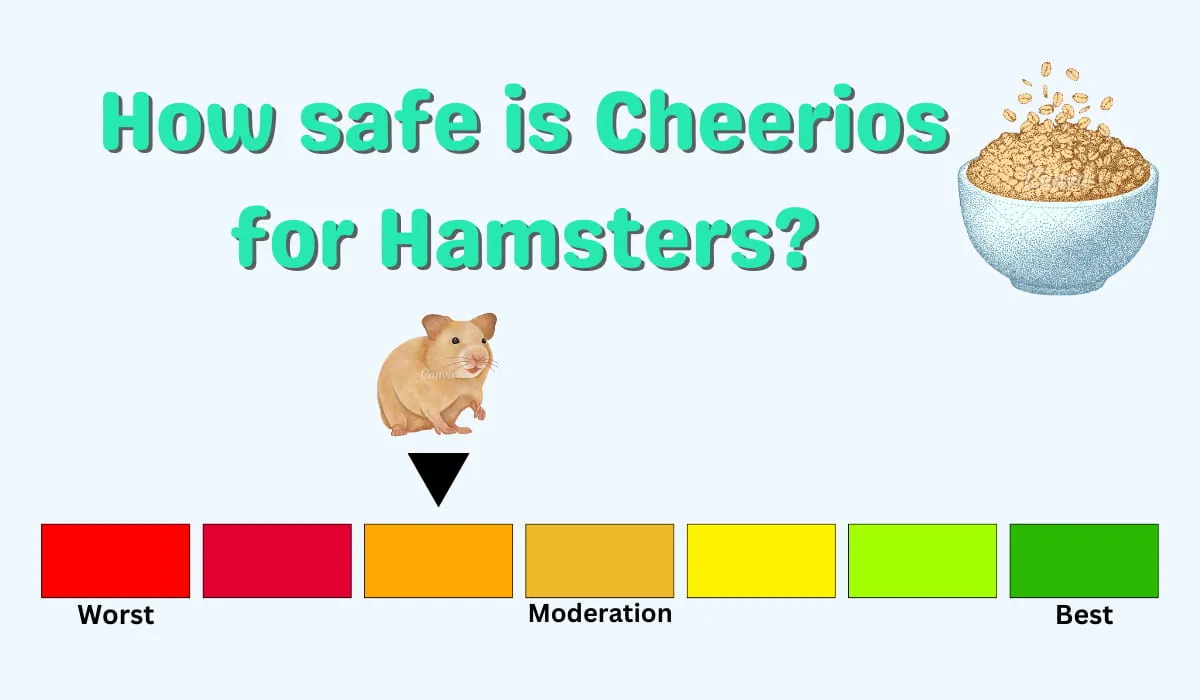 a chart of How safe is Cheerios for Hamsters