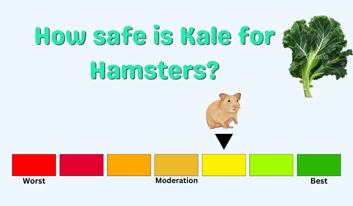 a chart of How safe is Kale for Hamsters